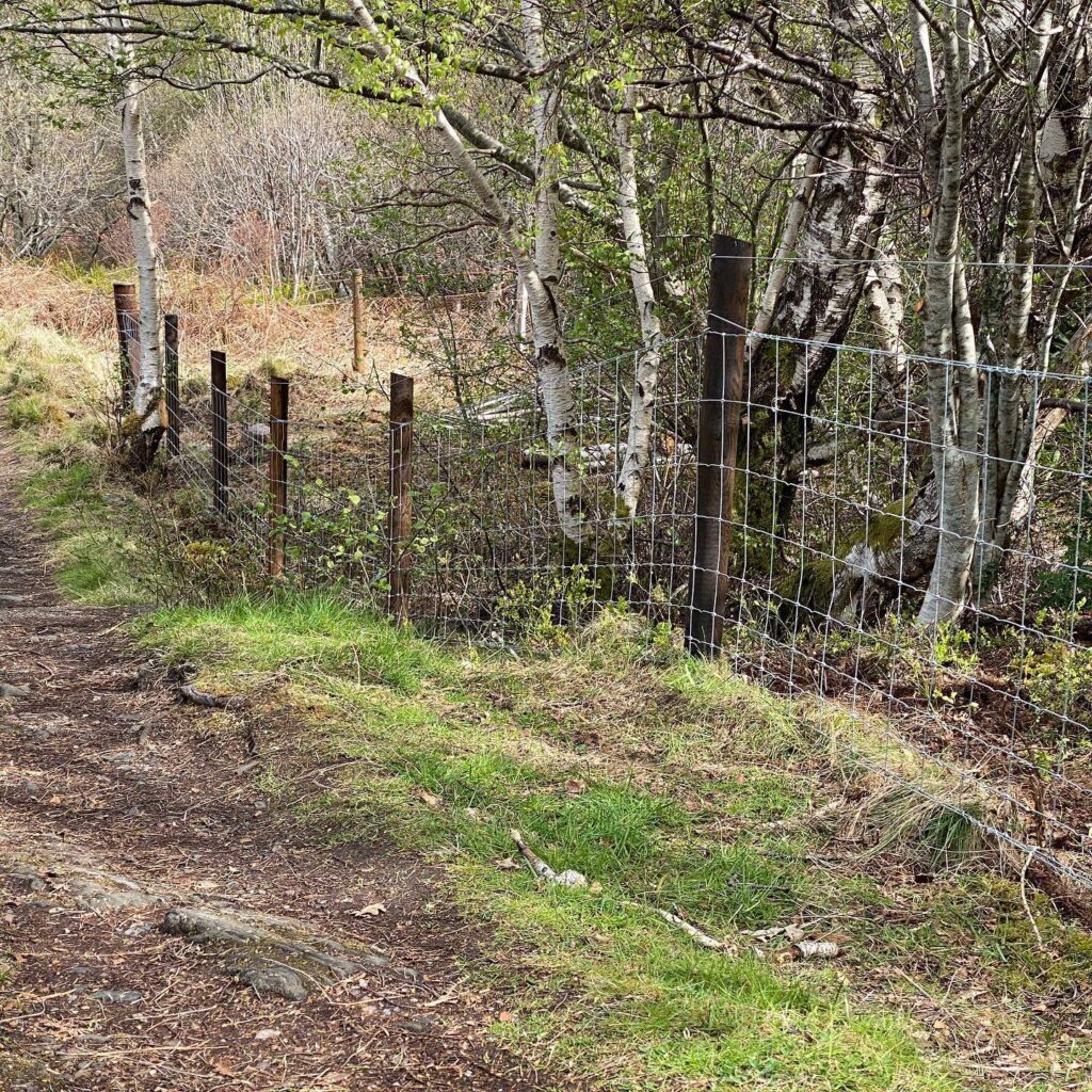 Highland Agricultural Fencing