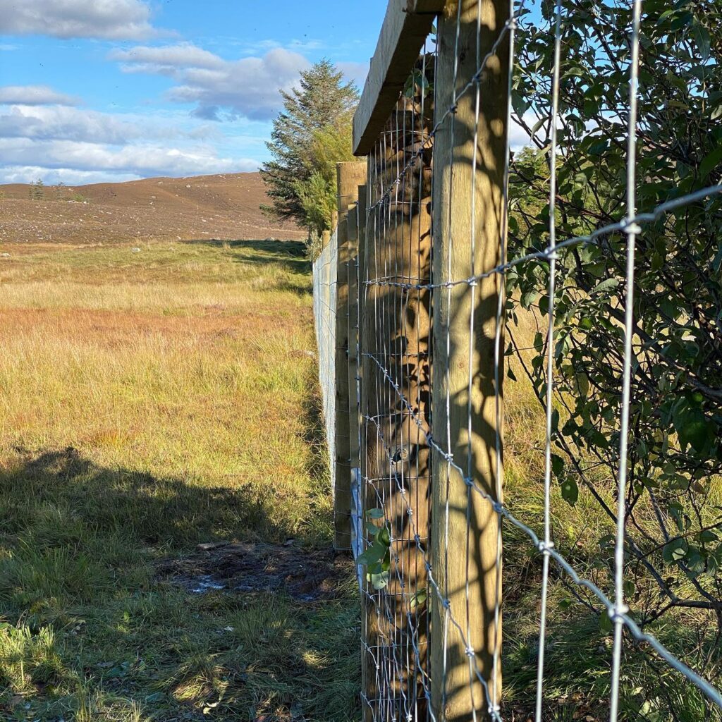 ullapool Agricultural Fencing